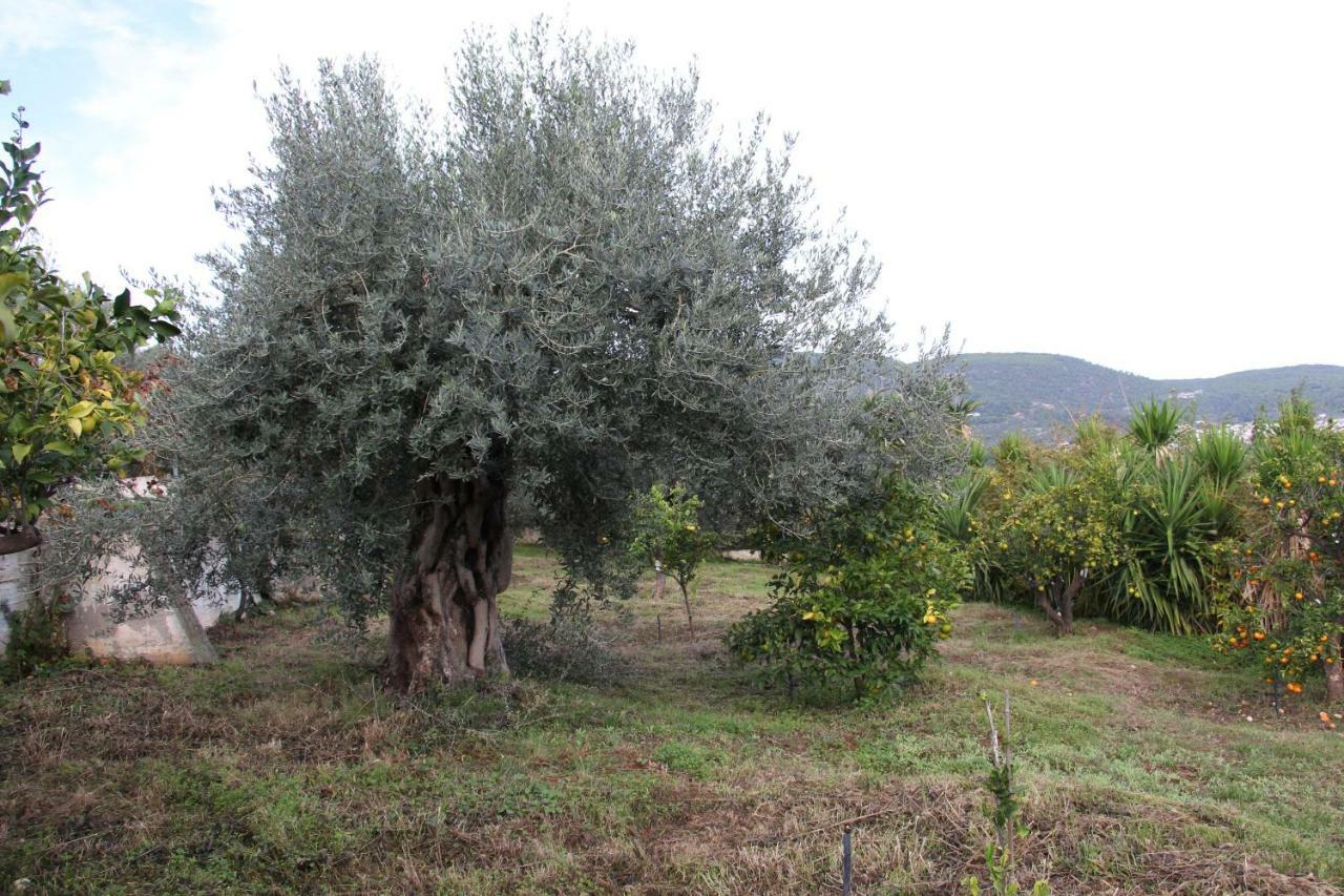 Villa Krassi Epidaurus Zewnętrze zdjęcie